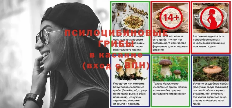 Галлюциногенные грибы прущие грибы  Велиж 